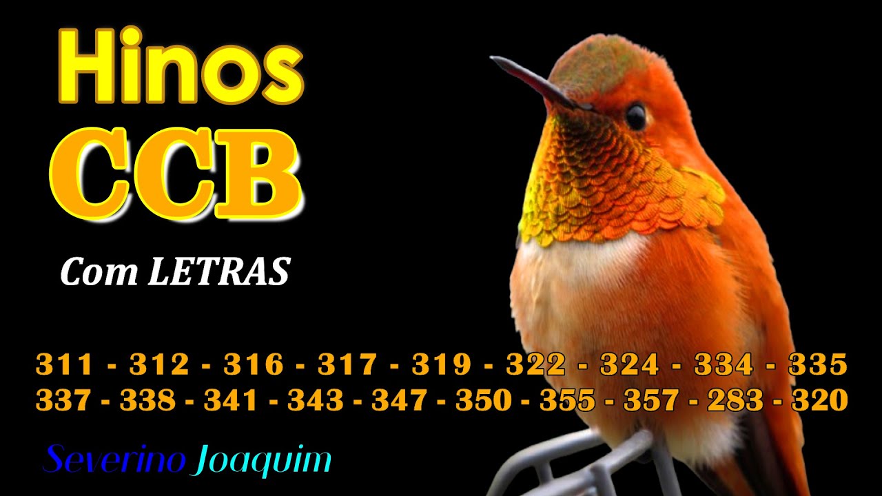 HINOS CCB - 311-312-316-317-319-322-324-334-335-337-338-341-343-347-350-355-357-283-320 - HINOS CCB
