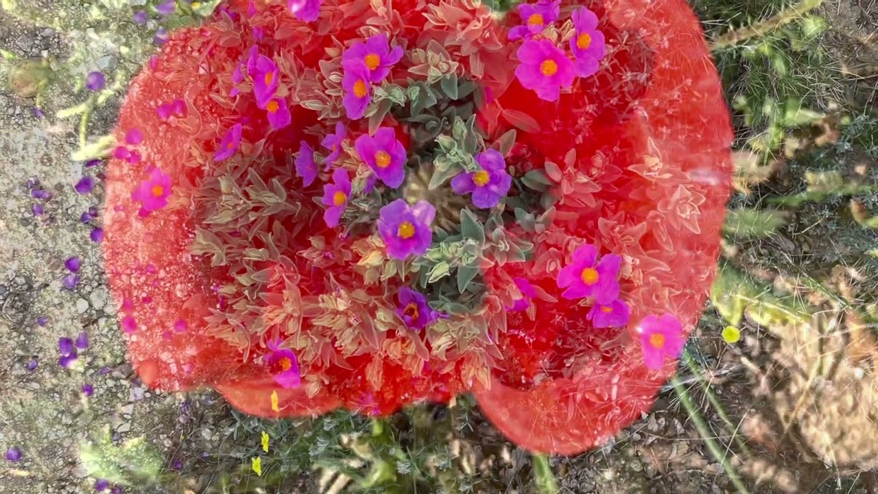 Provence Days 1 and 2:  Chateauneuf du Pape