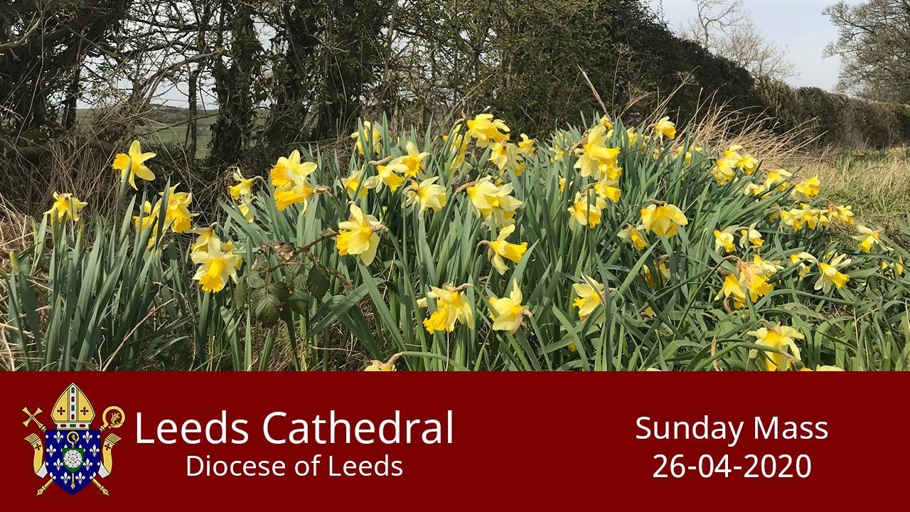 Leeds Cathedral 11 o'clock Mass Sunday 26-04-2020