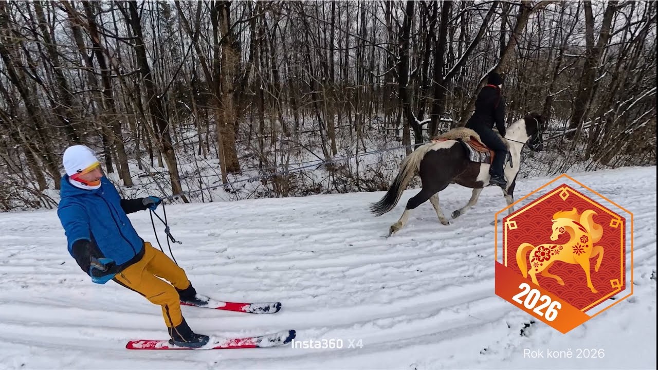 Skijöring with Sirius 🤠
