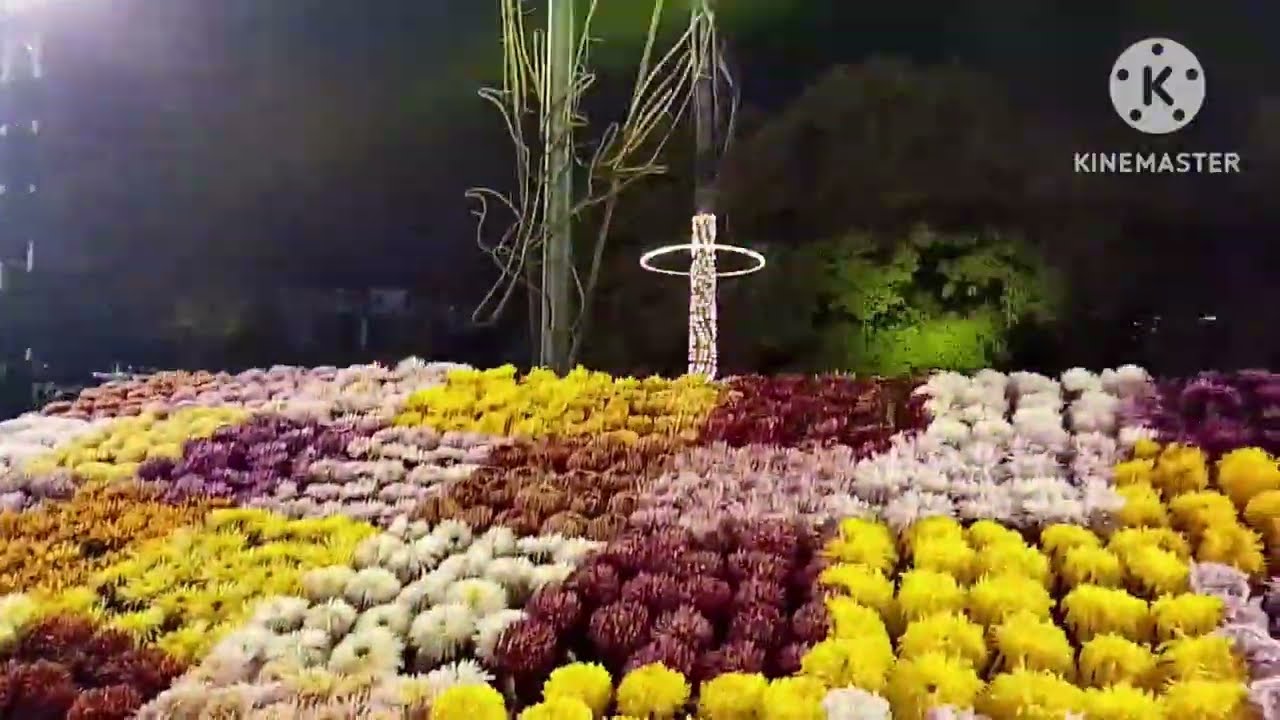Flowers Exhibition (part 2) in Jalani Park Lahore