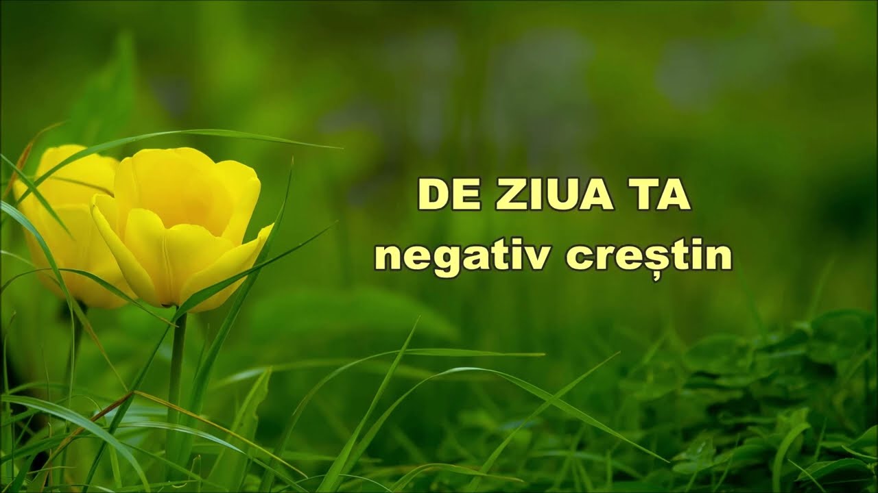 De ziua ta - Negativ creștin