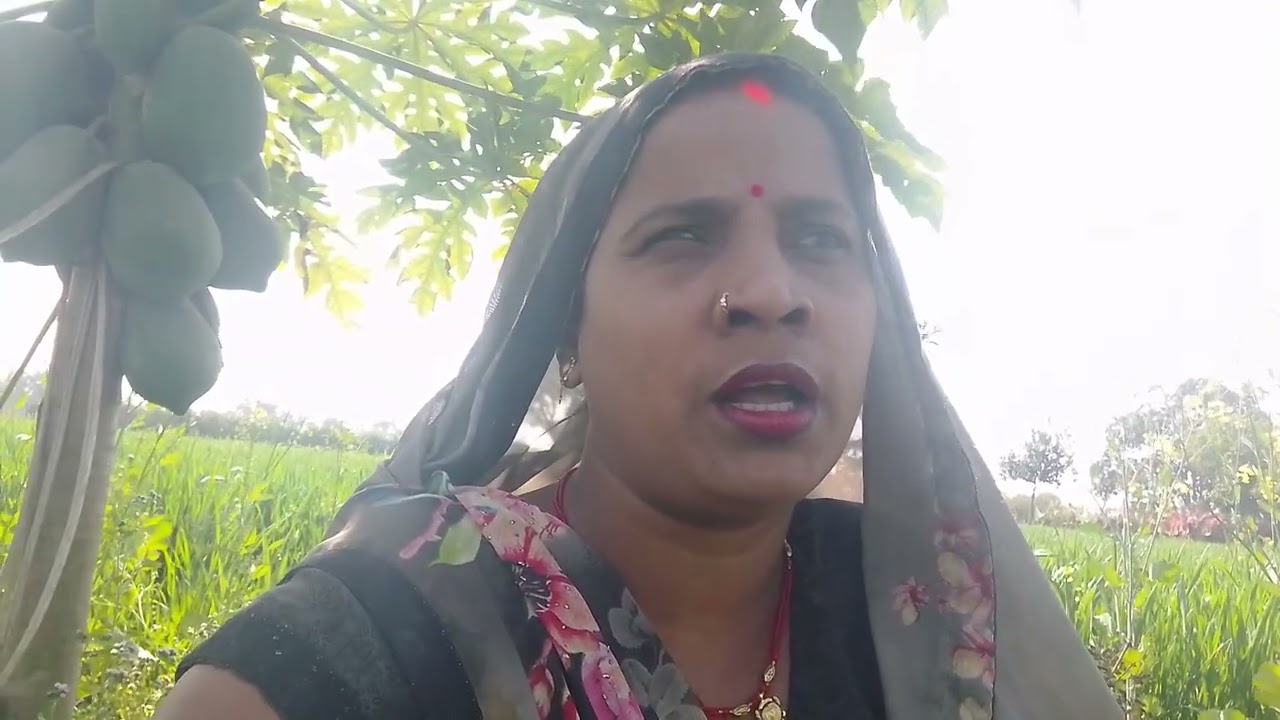 गारी गीत ❤️🌺🫅दूल्हे तोहरी बहिनी❤️🌺🫅 निशा मौर्य3069