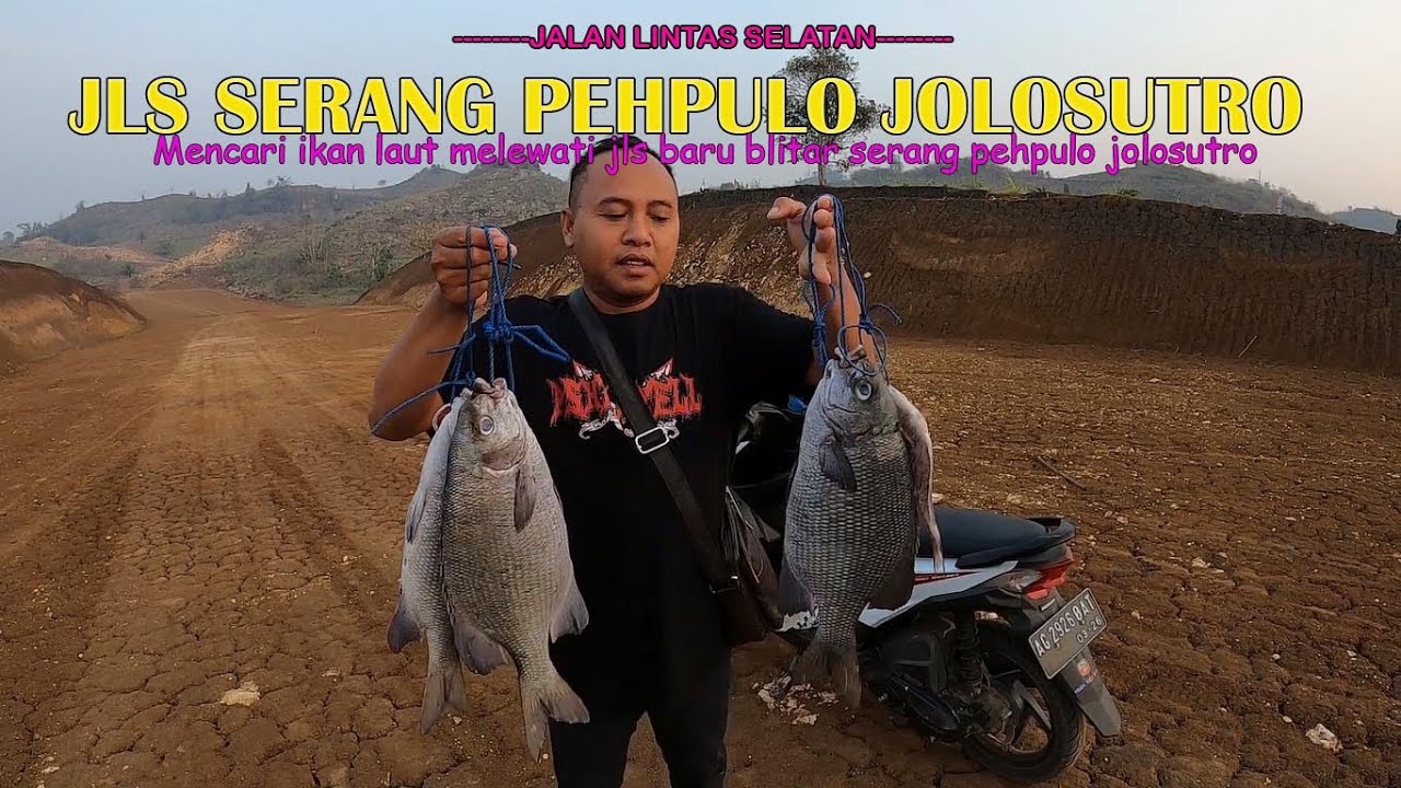 JLS SERANG PEHPULO JOLOSUTRO//MENCARI IKAN LEWAT JLS SERANG PEHPULO JOLOSUTRO BLITAR