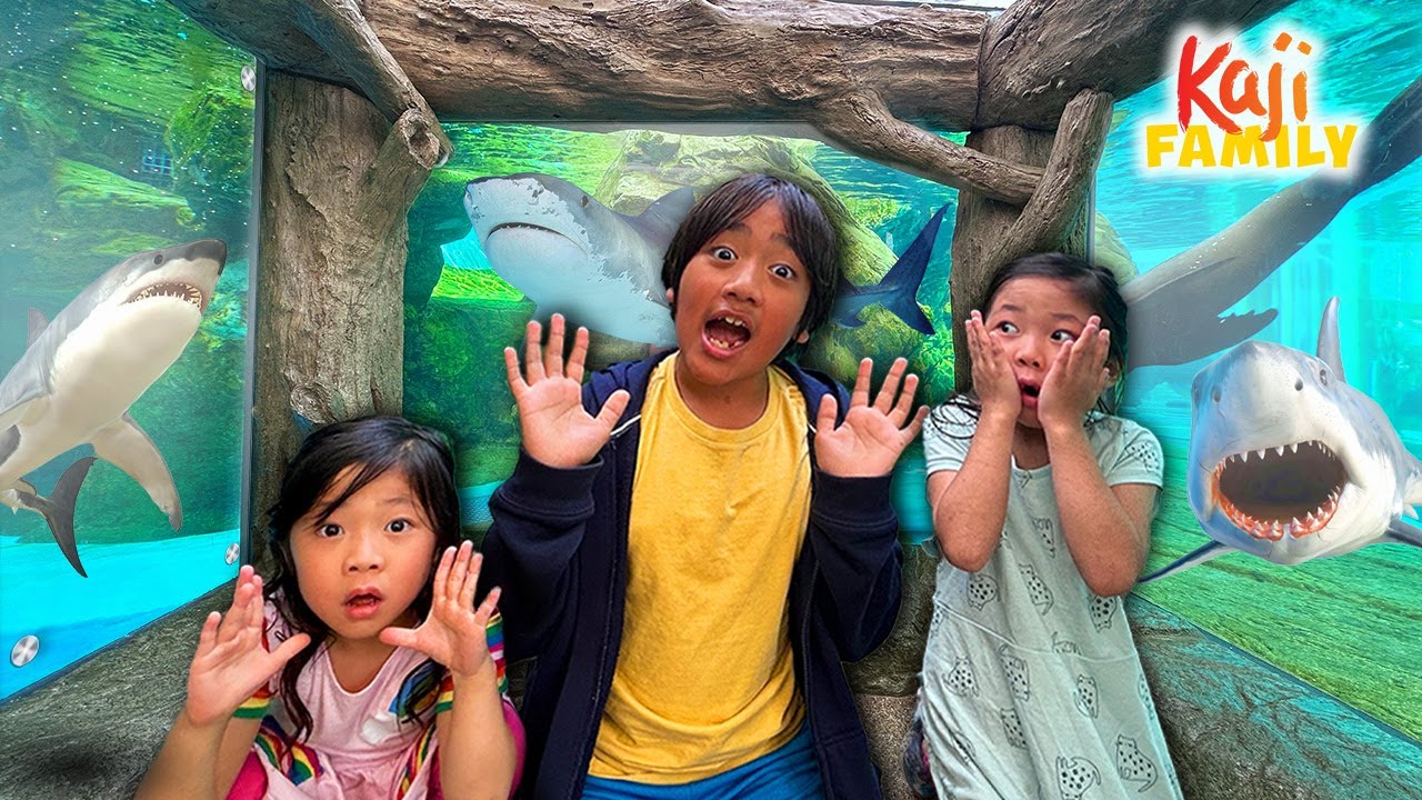 Ryan and Family Visit Japan Aquarium!