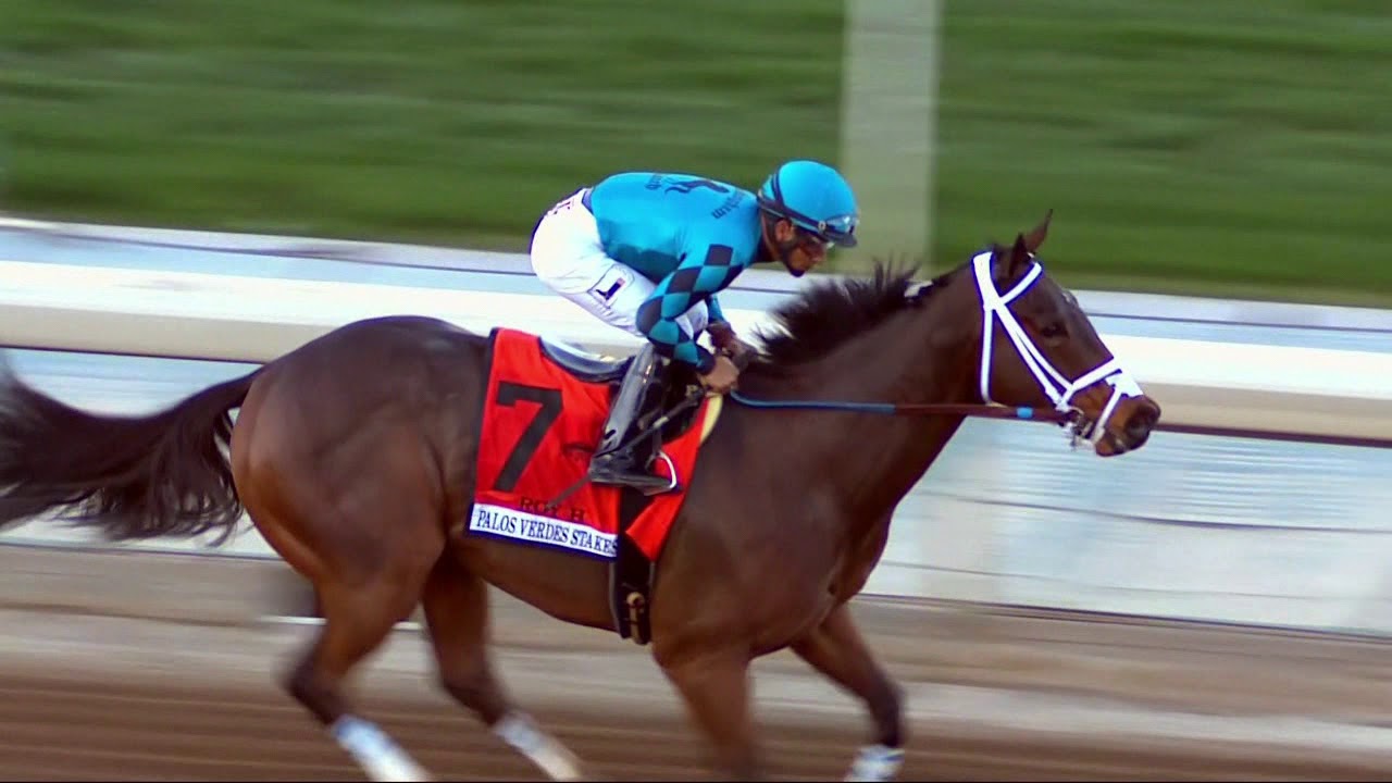 DUBAI WORLD CUP NIGHT TEASE
