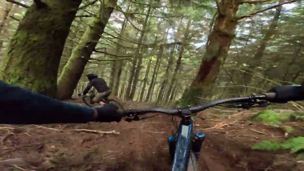 Madeira MTB -  Day  4, Trutas trail