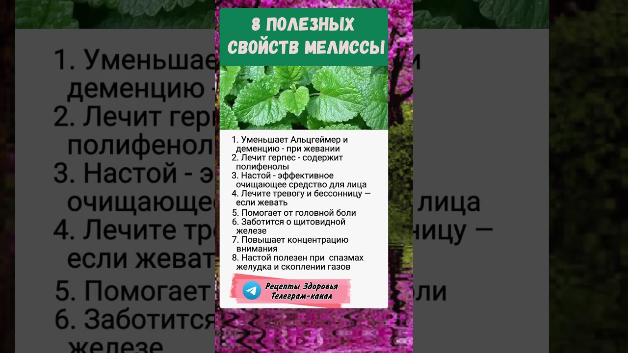 Мелисса.. полезно знать
