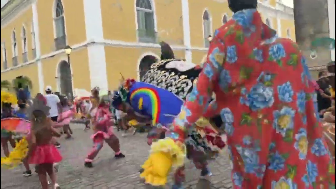 Boi malabá no cortejo Leda Alves- 24/01/2026 #cultura #recifeantigo #carnaval 
