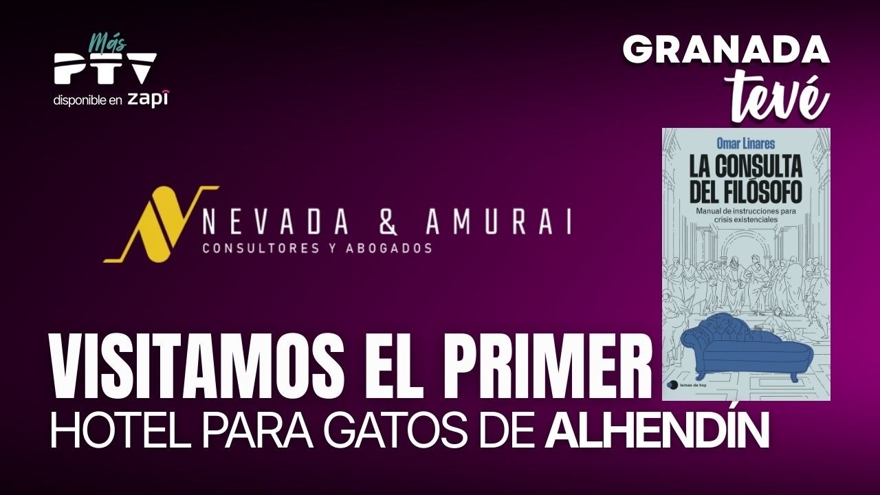 ⚡ GRANADA TEVÉ HD | #GTVÉ803 | Gatetes , asesoramiento filosófico y consultoría   | 16 mar