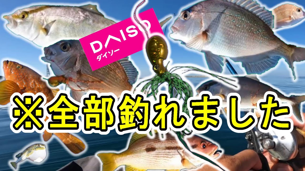 【もうこれだけでいいやん】ダイソータイラバが釣れすぎた【百均無双】