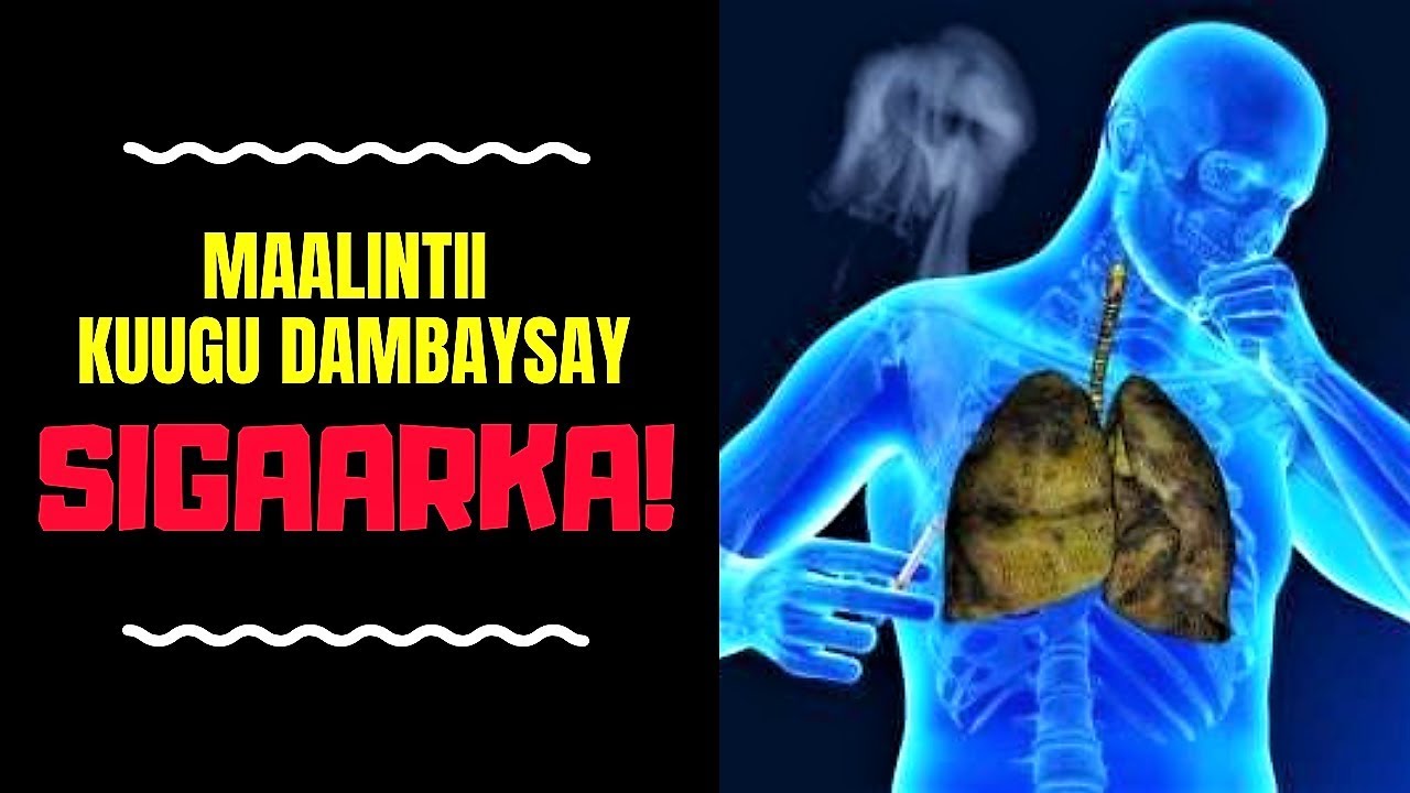 Sida DHAKHSO loogu JOOJIYO SIGAARKA iyo SHIISHADA! l NOLOL QURUX BADDAN! #13