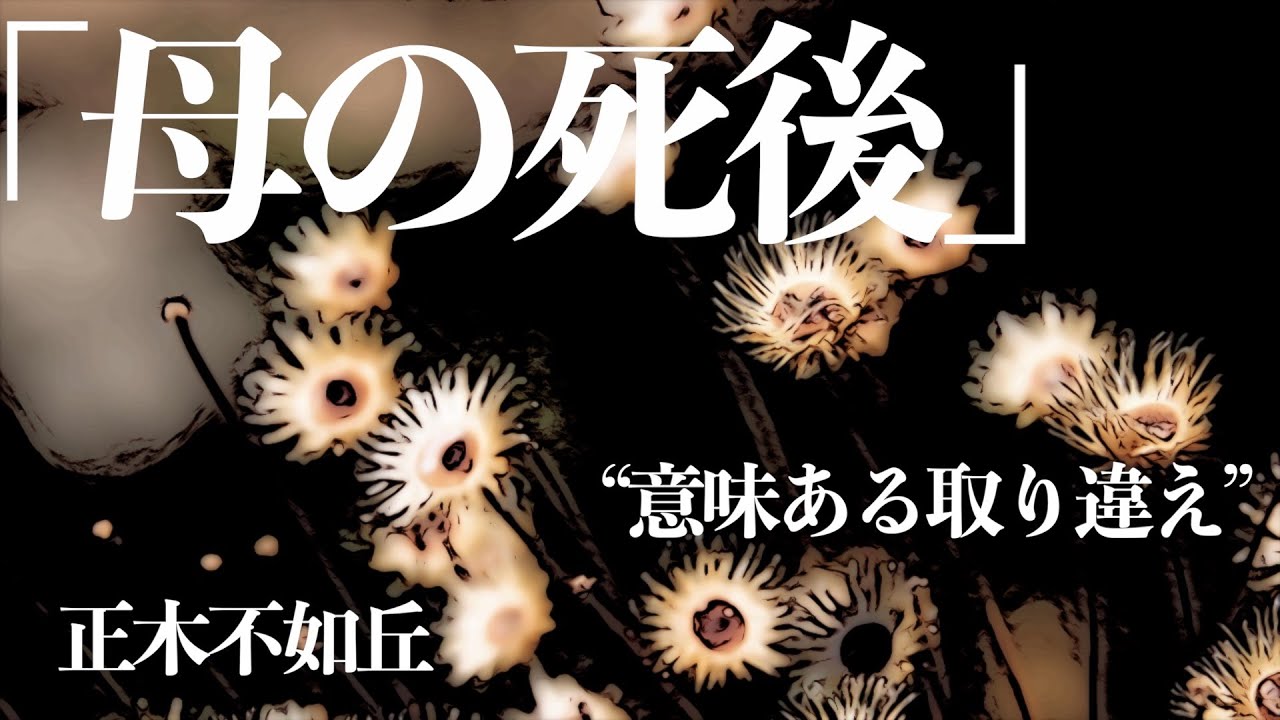 【小説/朗読/ミステリー】正木不如丘/母の死後【声優/男性/短編】
