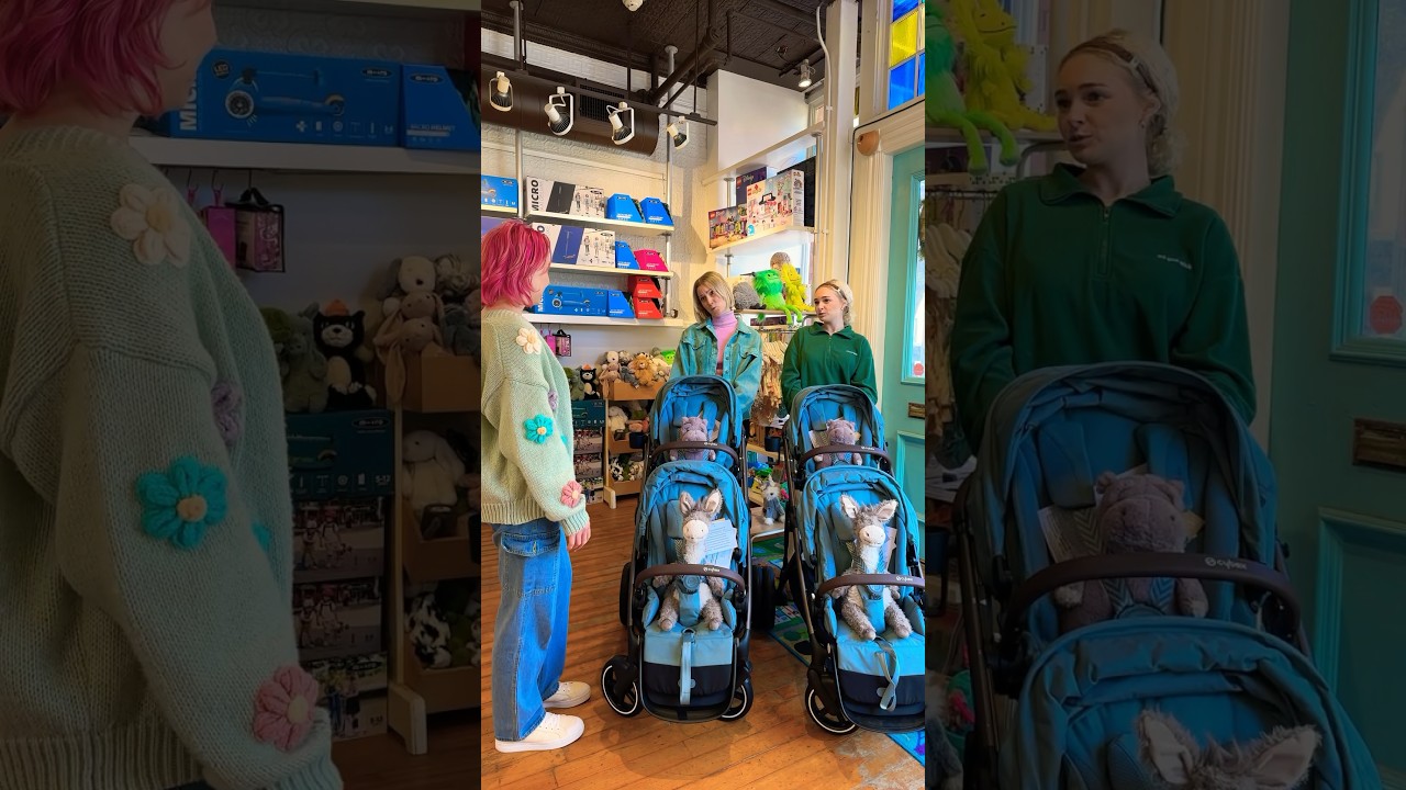 Stroller twins 