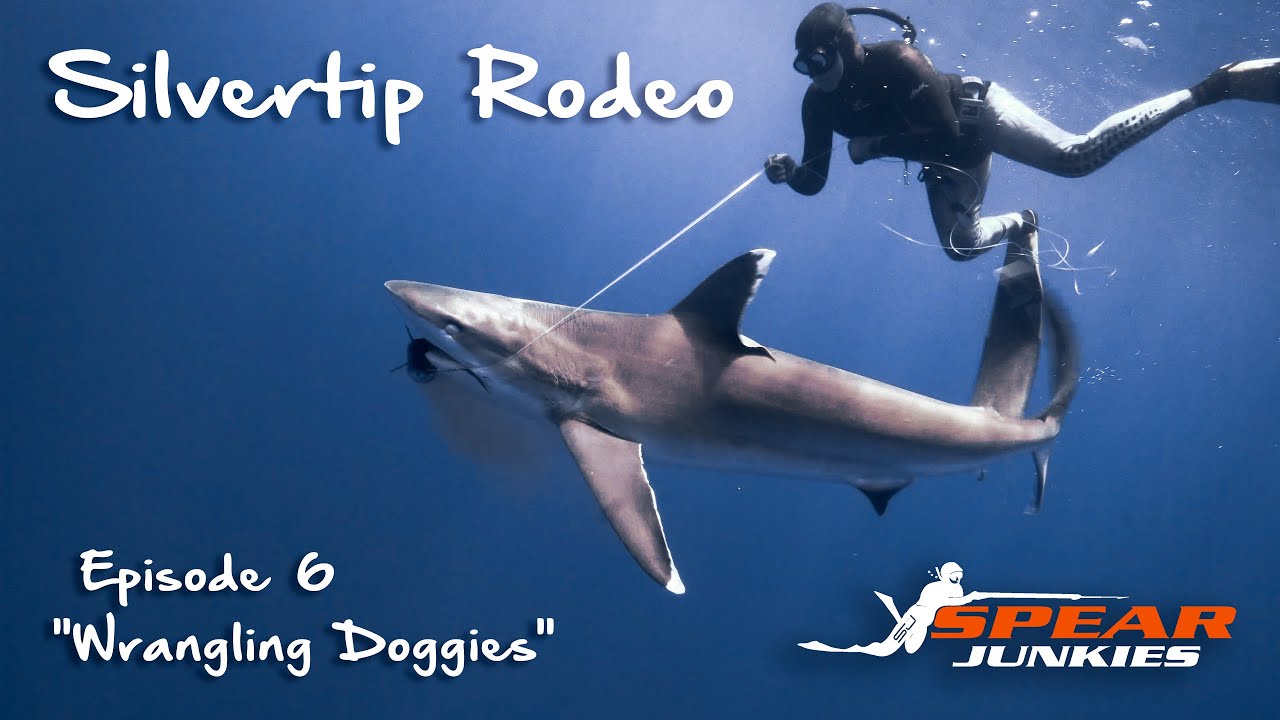 Spearfishing Madagascar - Spear Junkies Episode 6 