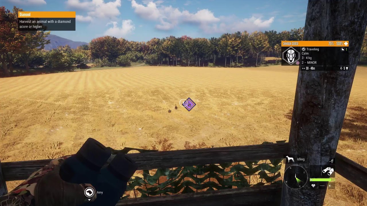 Let's try to get my 9 diamond