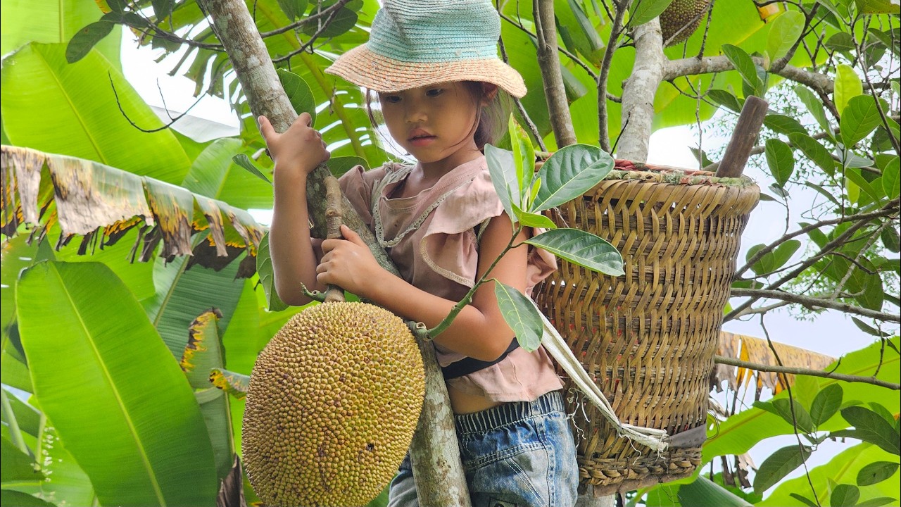 The poor girl struggling to carry 2 super large jackfruits on her back to sell to make a living