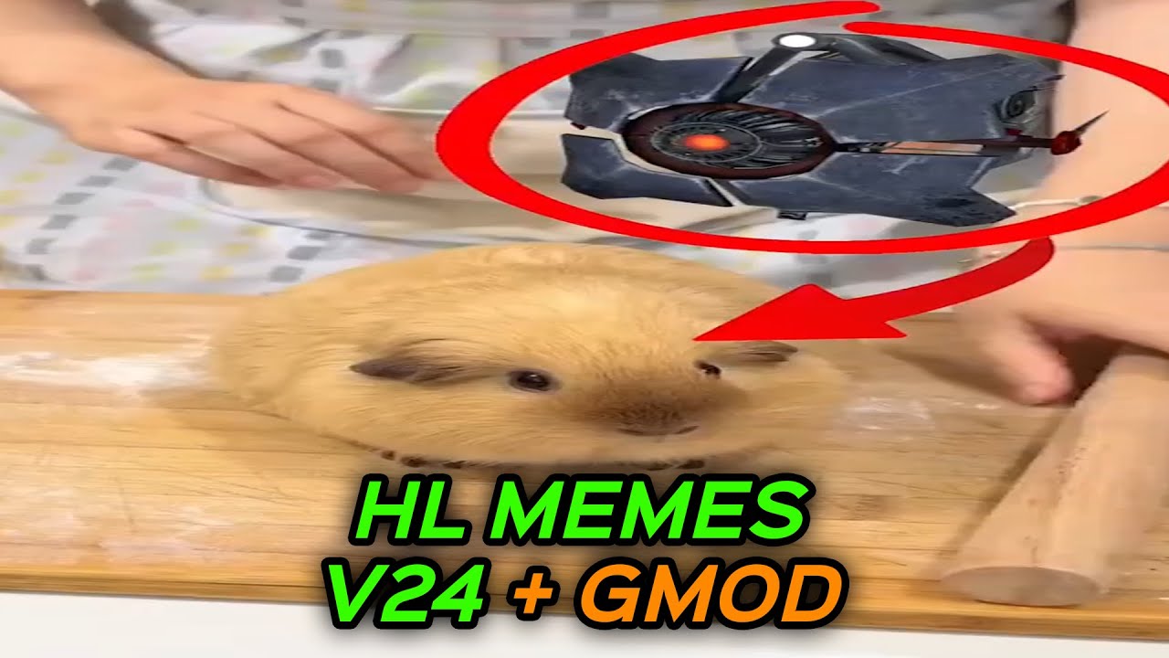 HALF-LIFE MEMES V24 + GMOD