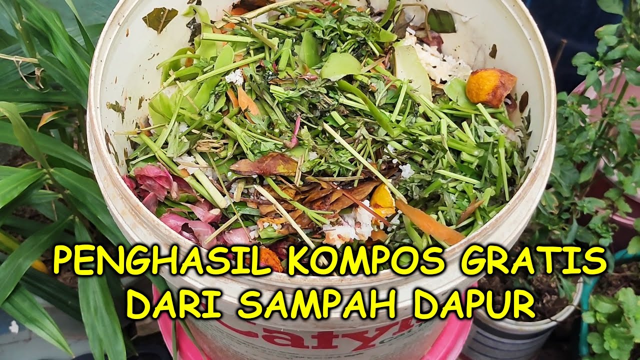 Cara Membuat Kompos Dari Sampah Rumah Tangga, Kompos Padat & Cair