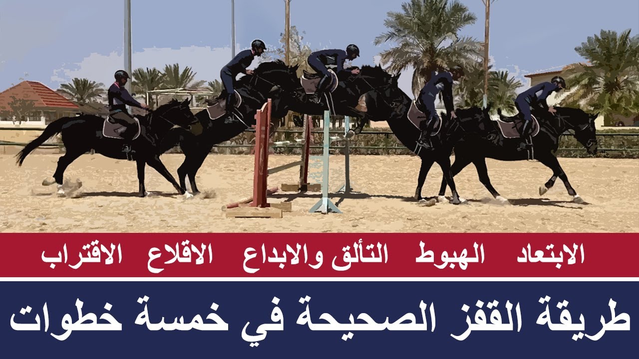 اشهر خمس قفزات للحصان - HOW TO JUMP A HORSE - رياضة قفز الحواجز بالخيل - عشاق الفروسية العرب