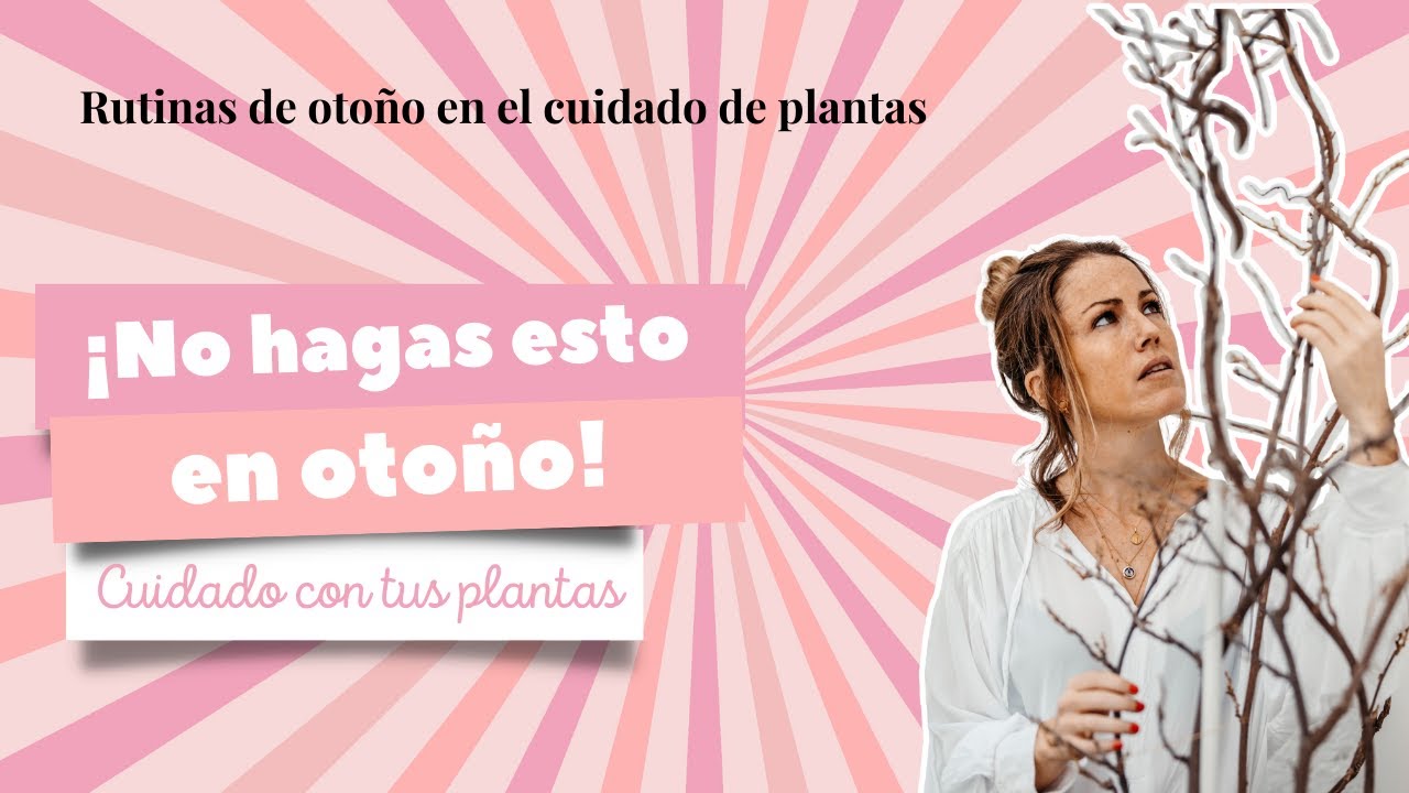 ¡CUIDADO con tus PLANTAS en OTOÑO!