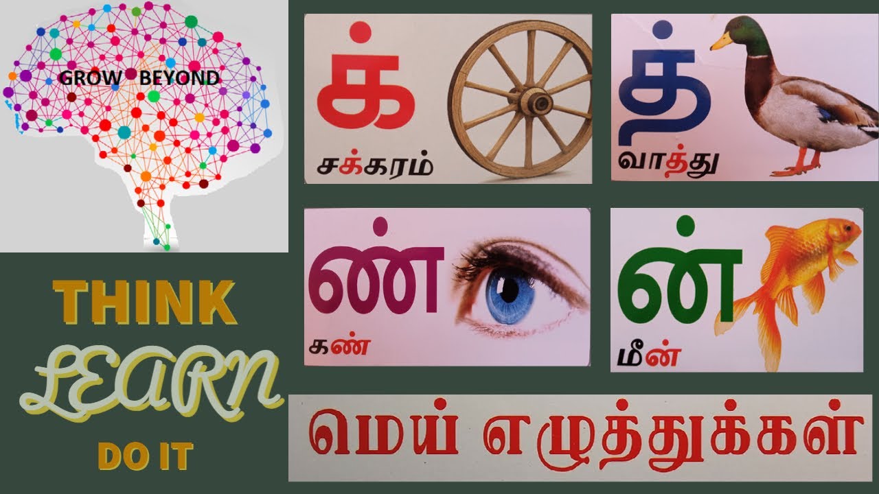 Tamil Mei Ezhuthukal // மெய்யெழுத்துக்கள்- Learn Tamil Mei Ezhuthukal // Grow beyond