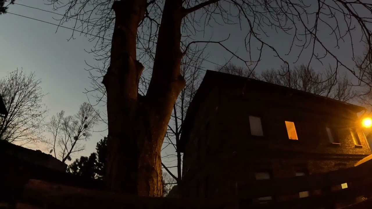 Mroczne zakamarki Bogucic