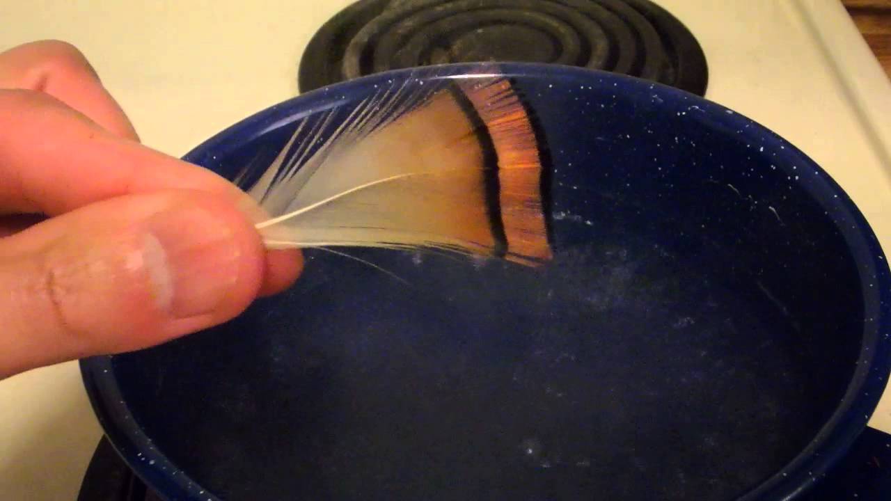 Importance of Steaming Feathers - Demonstration