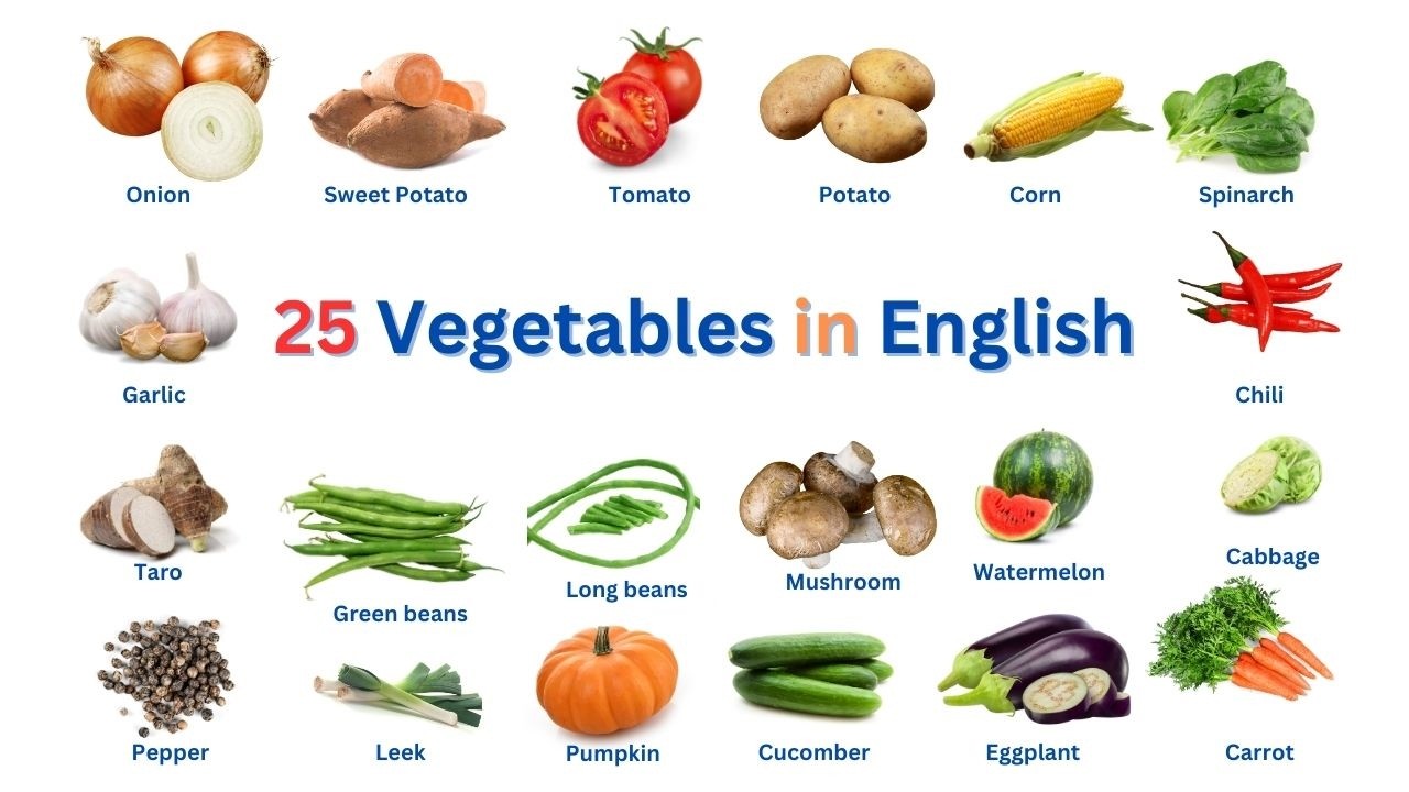 List of Vegetable in English with Picture/English Vocabulary