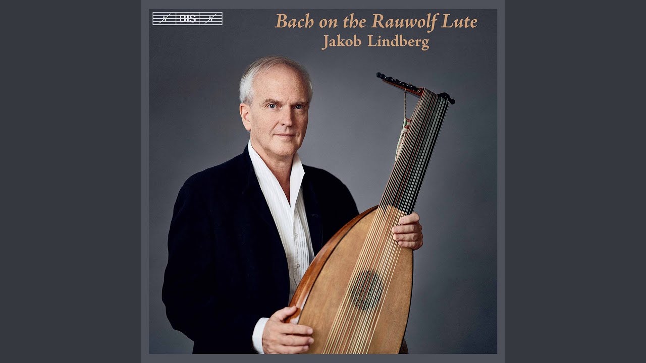 Violin Partita No. 2 in D Minor, BWV 1004: V. Chaconne (Arr. J. Lindberg for Lute)