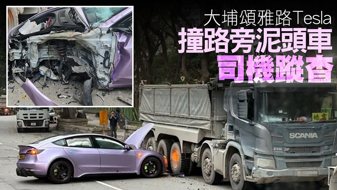 【on.cc東網】大埔頌雅路Tesla撞路旁泥頭車　司機蹤杳| 「東呼」野豬夜闖「拜年」嚇喊女營友　內地客沙灘埋「地雷」網民怒轟