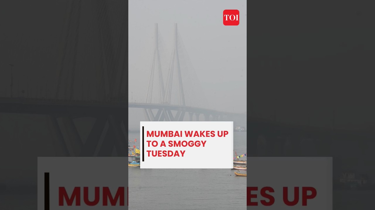 Mumbai AQI at 42 as dense smog engulfs the city | Mumbai News | Mumbai Weather News