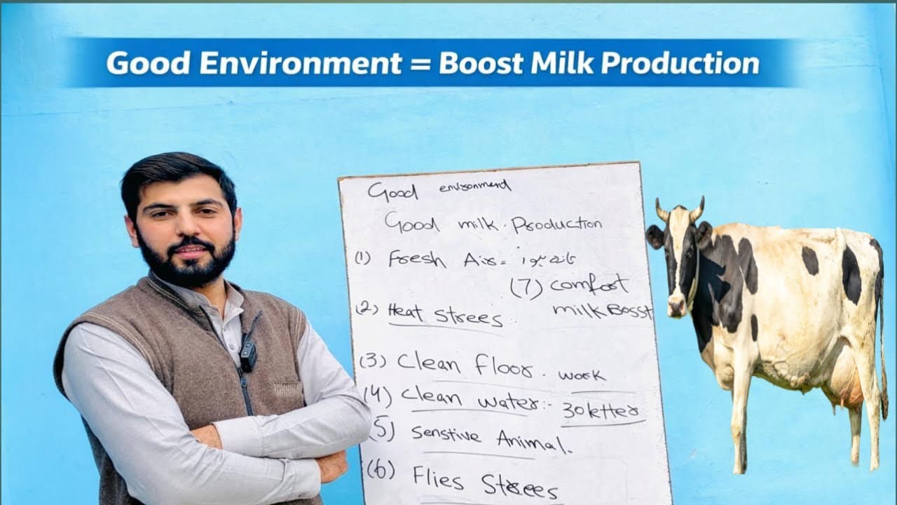 7 Farm Environment Mistakes That Reduce Milk Production (Fix Them Today)