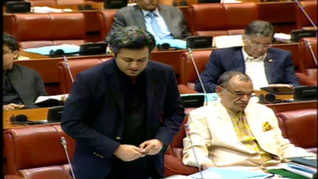 Hammad Azhar Speech at Senate of Pakistan | PTI Official | 25 April 2019