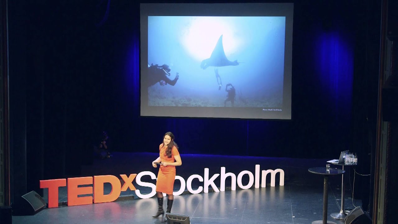 One last breath - what freediving can teach leaders | Yamina Enedahl | TEDxStockholm