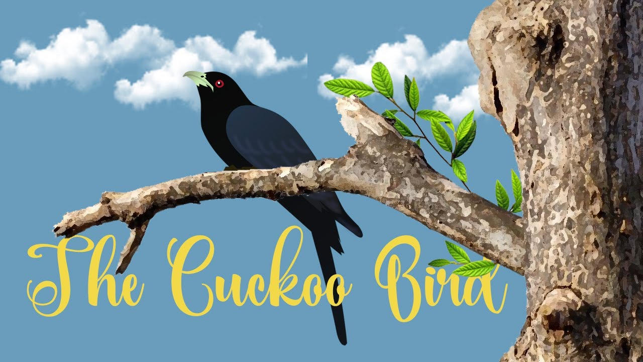 How to Value Our Gifts - The Story of the Cuckoo | Motivational Story | Human Value - Gratitude