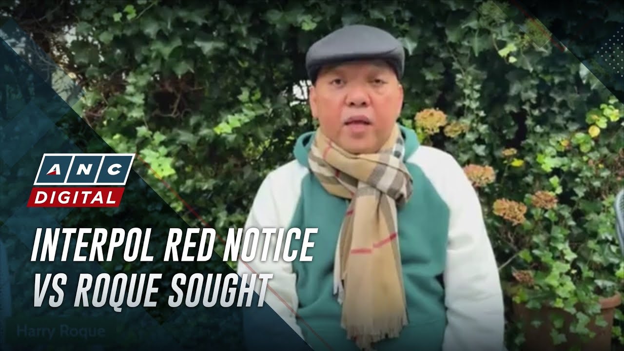DOJ: Up to Netherlands to enforce potential Interpol arrest vs Harry Roque | ANC