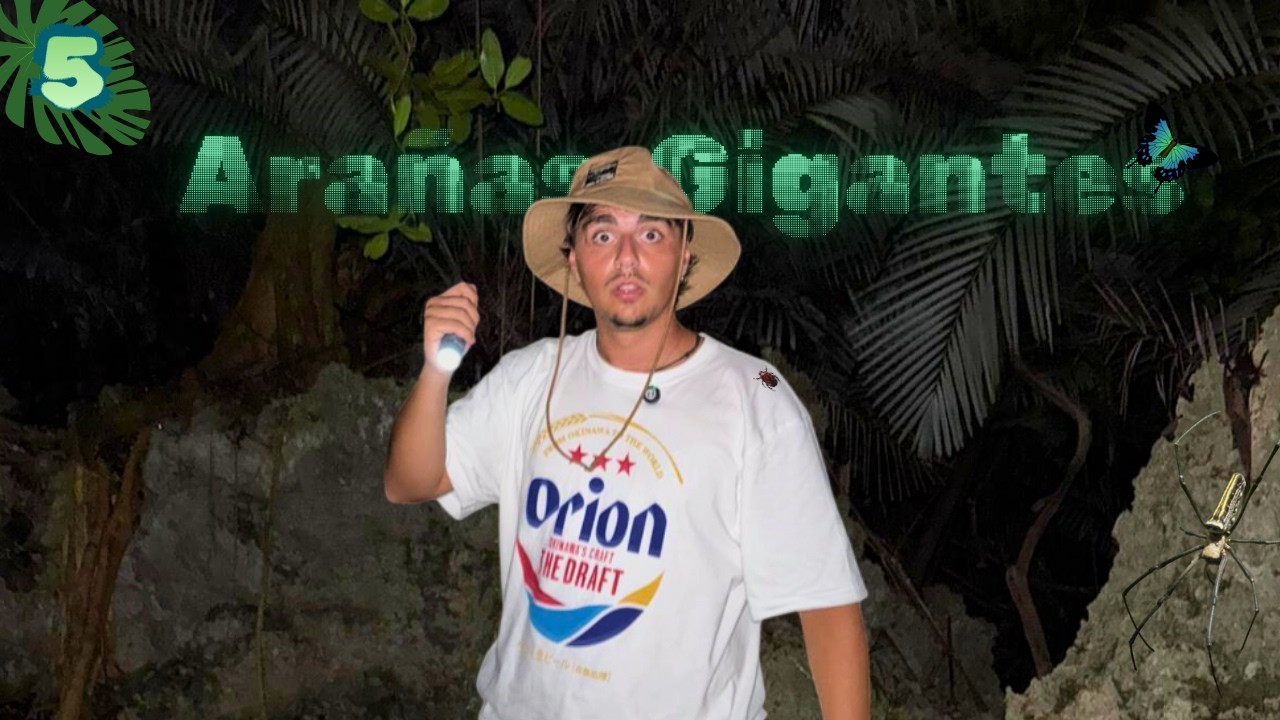 Conoces el Japón Salvaje?? 