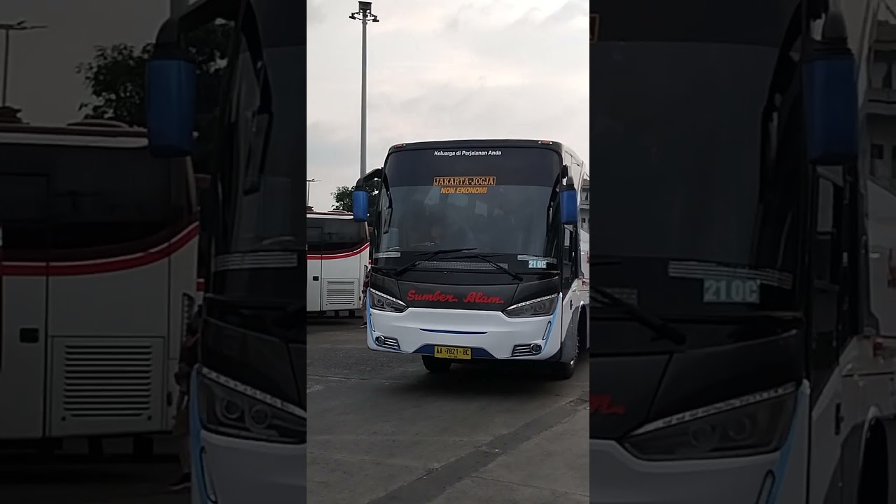 SUMBERALAM 21OC #busmania #busmaniacomunity #sumberalambus #shorts #short