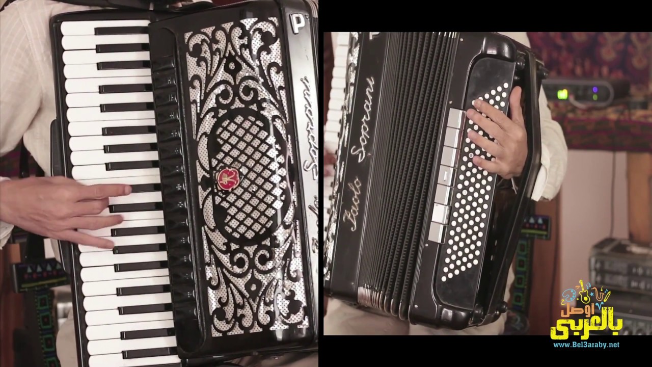 وائل السيد أكورديون | تقسيمة مقام الحجاز | Wael ElSayed Accordion