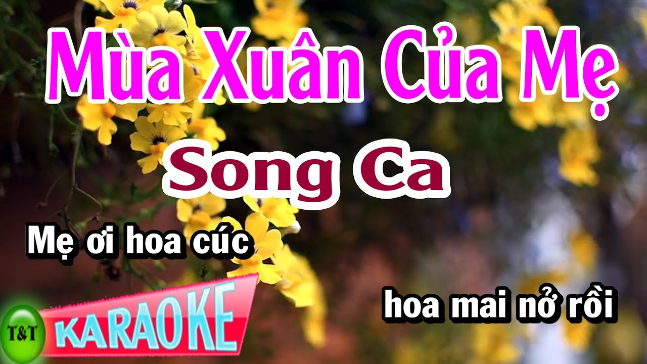 Karaoke Mùa Xuân Của Mẹ Song Ca | Thái Tài