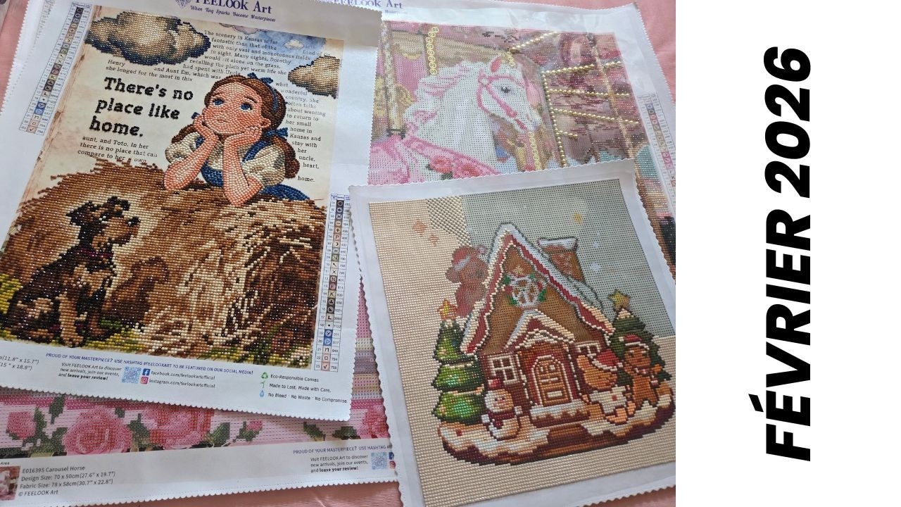 Bilan Diamond Painting - février 2026 #dp #diamondpainting #feelookart #oraloa
