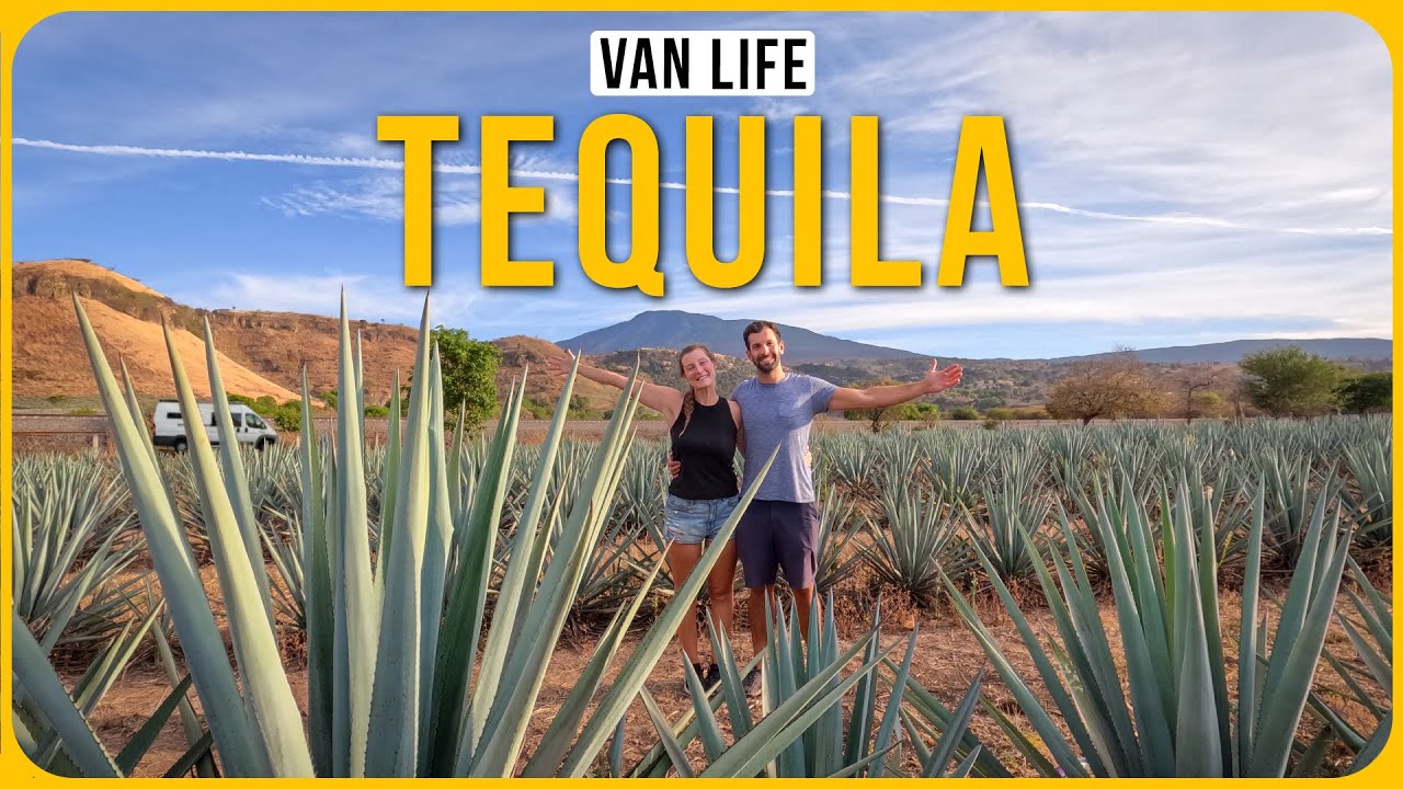 DISTILLERY TOURS & TEQUILA TASTINGS IN JALISCO | VANLIFE MEXICO ROADTRIP  | EP 25