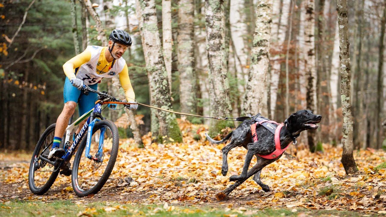Bikejoring (Tonha - 5,14km) - IFSS World Championship 2025 🇺🇸🇧🇷