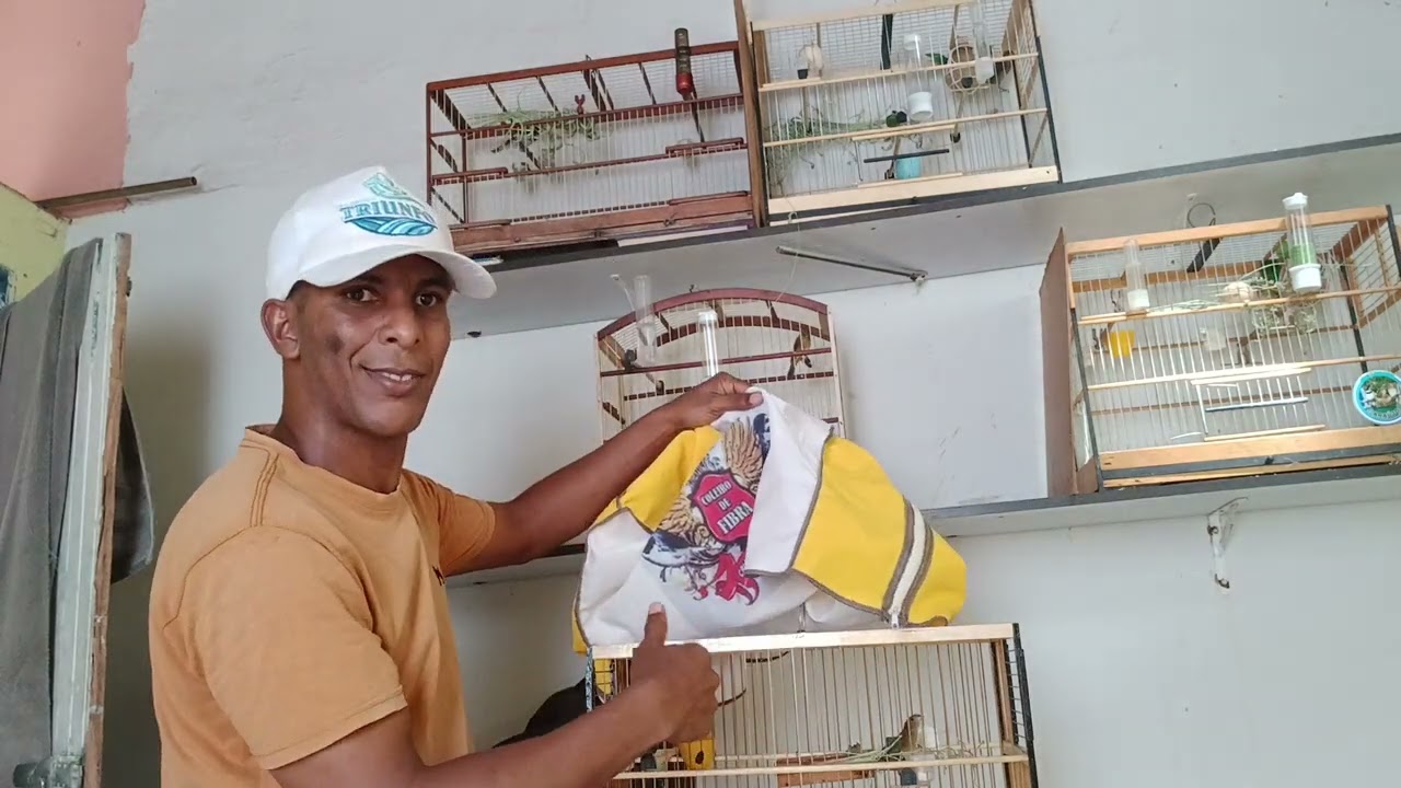 Essa é a melhor dica pra você criador de papacapim coleira 