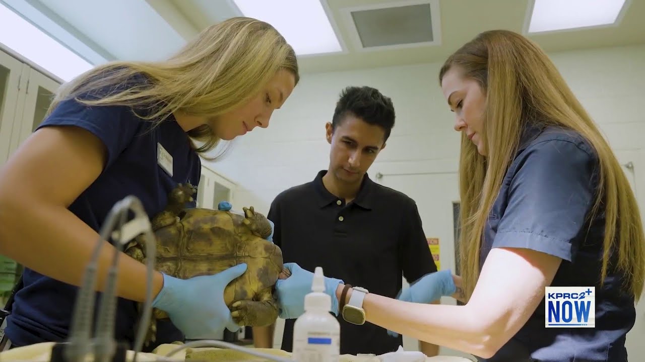 STEM City: Behind the scenes at the Houston Zoo