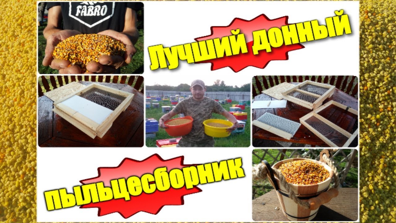 Лучший донный пыльцесборник из моей практики