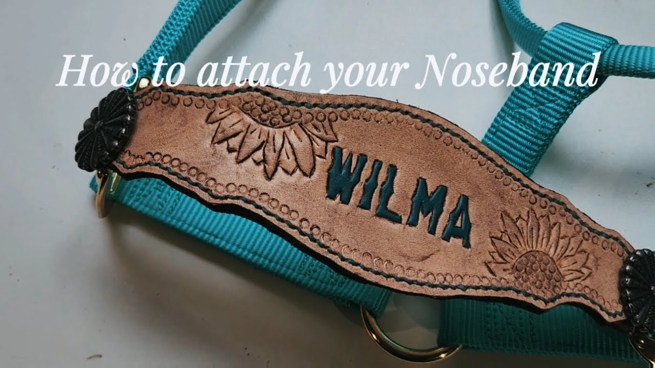How to Attach your Noseband 🐴