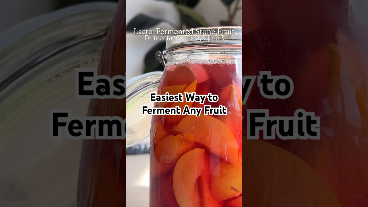 Lacto-fermentation is so easy! All you need is salt, water, & time to create probiotic-rich foods!
