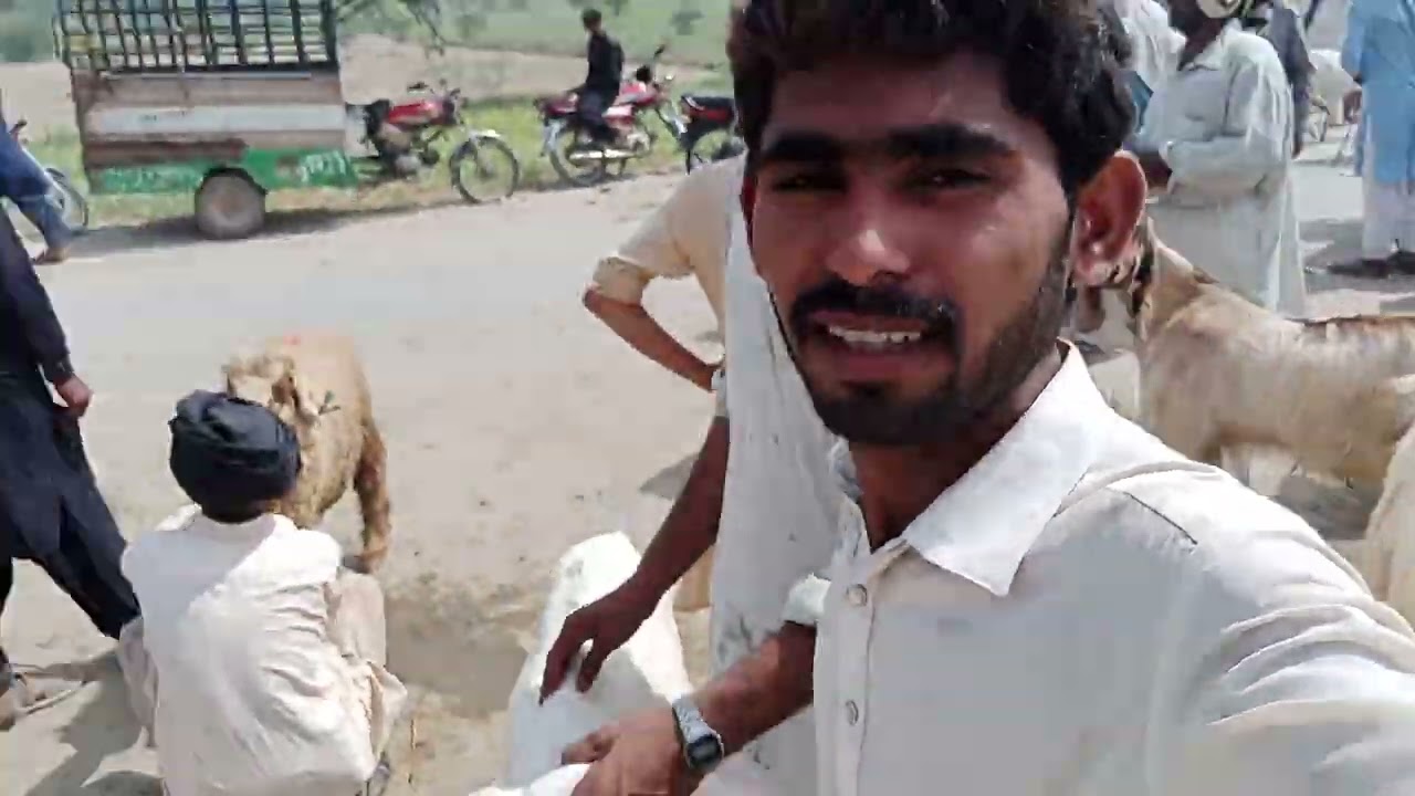 Shah Jamal ki Mandi Ki Halat Dekhen